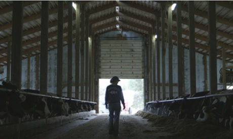 Ben & Jerry's Caring Dairy farm Vermont