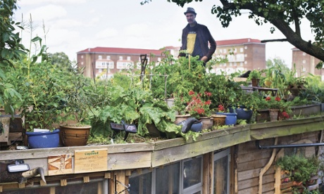 When Joel Bird couldn’t get an allotment, he turned his shed roof into growing space.