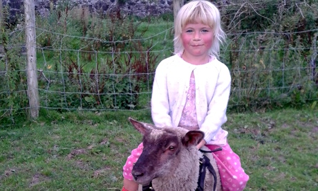 Hazel on Longback the sheep