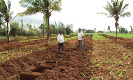 water capture structures India