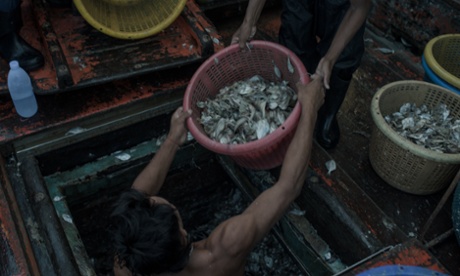 Unloading trashfish at Ranong port, Thailand