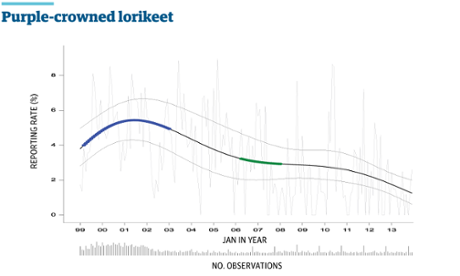 Purple-crowned Lorikeet
