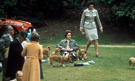 The Queen with her corgis at Badminton horse trials in the 1960s