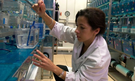 A scientist at the Pasteur Institute in Paris.