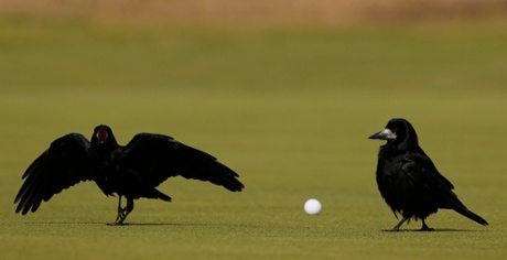 A double birdie.