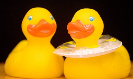 Why do some startups swim to success while others fail?