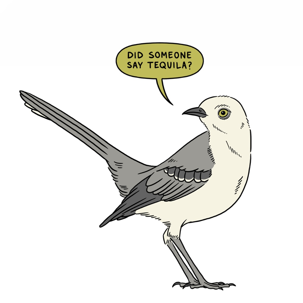 Matt Blease's illustration of Harper Lee's Go Set a Watchman