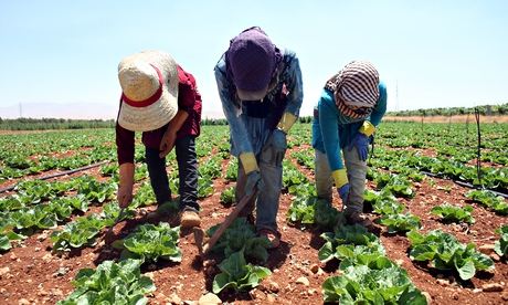 children syria bekaa isis