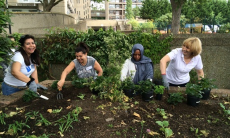 Farm the City in Golborne