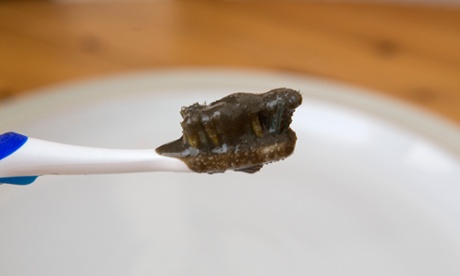 Stuart's homemade toothpaste: 'A thick grey sludge.'