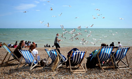 Seagulls and people in deckchairs on hove beach