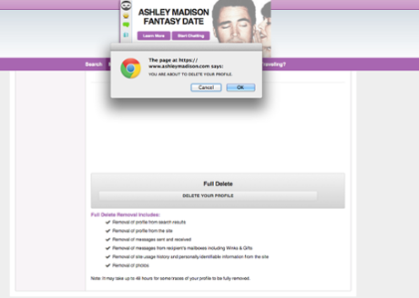 Ashley Madison website