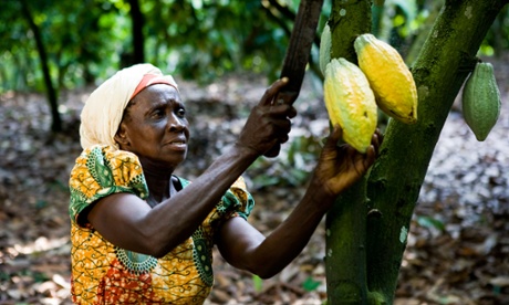 Companies such as Theo Chocolate and Nespresso are working with local communities in South Sudan and the Democratic Republic of Congo to build sustainable cocoa bean supply chains.