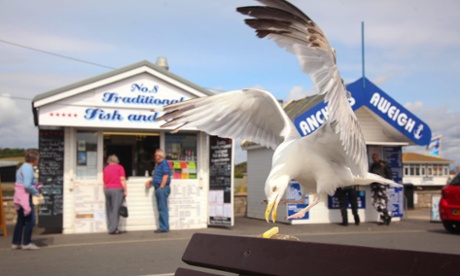 A seagull grabs a chip at West Bay, Dorset.