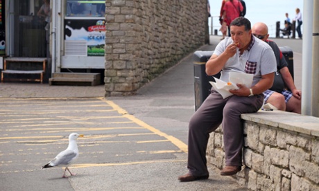 A local faces off with a seagull in Bridport.