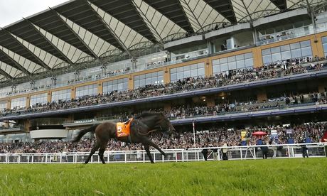 Speculative Bid, favourite in a big betting race, runs up the Ascot straight without Jamie Spencer