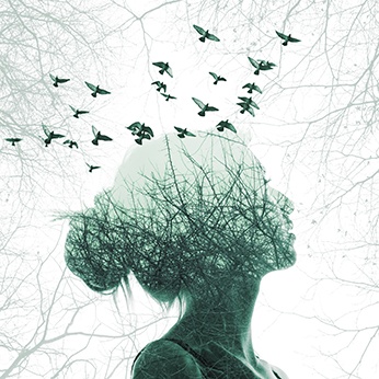 Light Boxes: Grid Iron’s latest is a postmodern fairytale