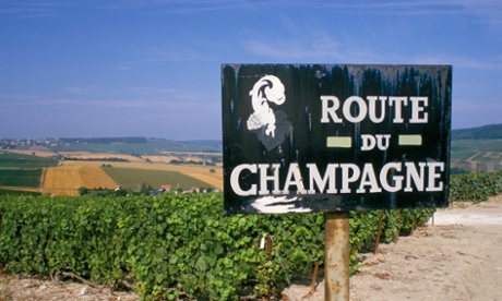 sign and vineyard near epernay, champagne region region