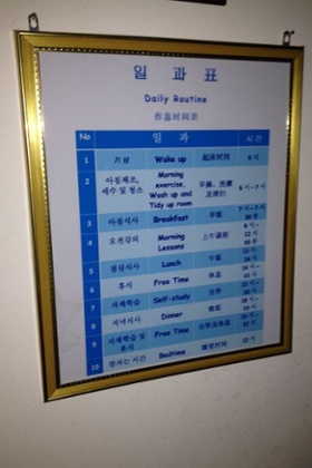 north korean gap year 