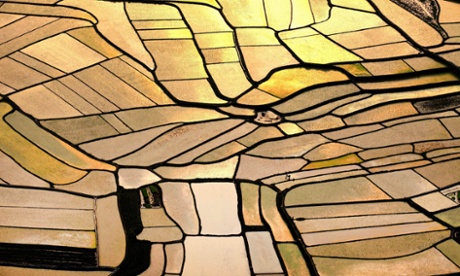 Paddy fields in golden sunlight at Jiangping village in Donglan, China.