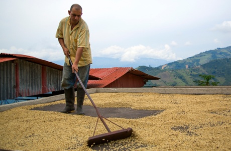 Duberney Arias Agudelo