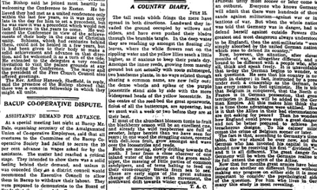 The Manchester Guardian, 16 July 1915.