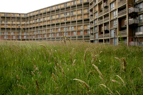 An overgrown area in the old part of the Park Hill estate