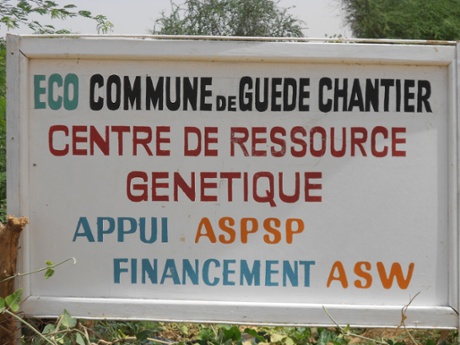 Guédé Chantier ecovillage, Senegal
