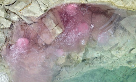 Rules Of The Ring, 2014, by Rob Chavasse