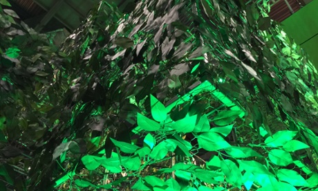 A Minecraft tree in the real world.