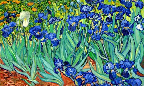 What does age add to a master's painting? A detail from Irises by Vincent Van Gogh (1889). Picture: 