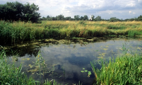 Wicken Fen, Cambridgeshire.
