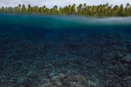 The Guardian found massive coral bleaching across atolls in the Marshall Islands in December 2014. After a brief cool period, reports now indicate the return of dangerously warm temperatures.