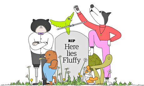 Illustration of pets