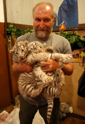Tbilisi zoo director Zurab Gurielidze holds two tiger cubs at the zoo, before disaster struck.