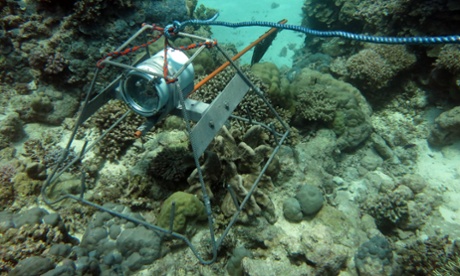 A baited remote underwater video.