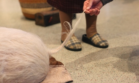 An elderly man in Gelsenkirchen touches the tail of Felix, a specially-trained therepeutic pig, in 2011.