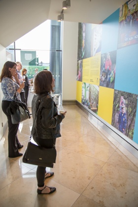 Young girl looks at exhibition