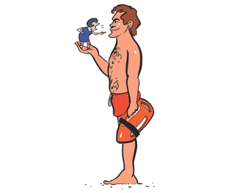 The Hoff illustration