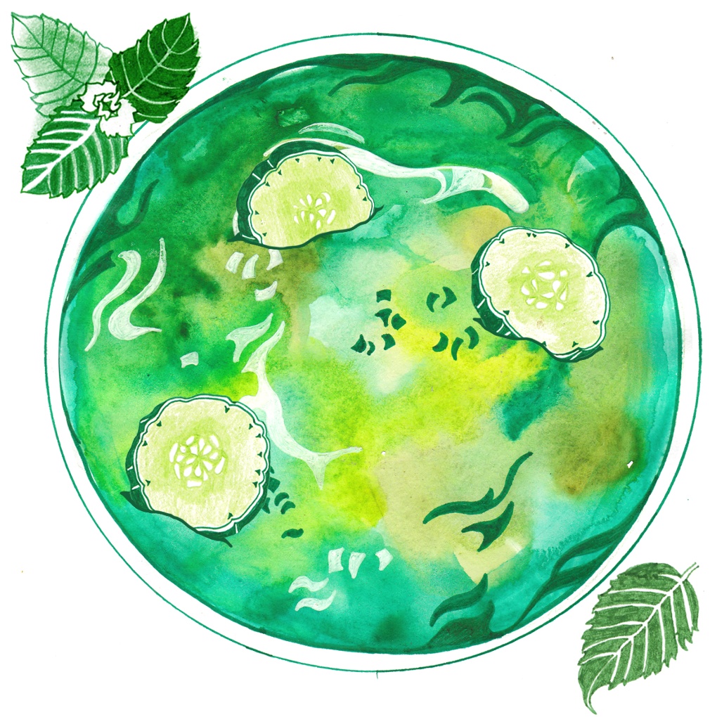 An illustration of a green gazpacho soup