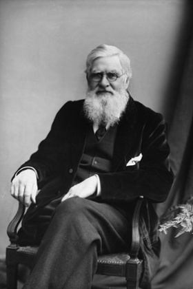 Alfred Russel Wallace ... not famous due to some kind of Darwinian process.