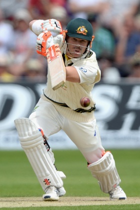 David Warner in action.
