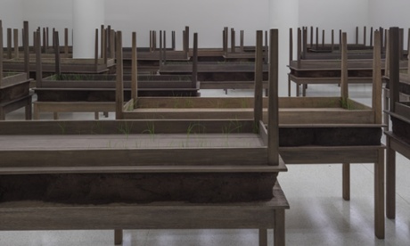 Doris Salcedo