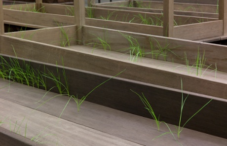 Doris Salcedo