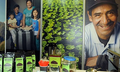 The Cafe Curibamba project is one of the ways Enel is bringing development to communities near its power plants. 