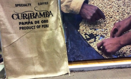 Curibamba coffee.