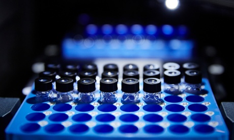 Samples of DNA being processed in the laboratory.