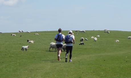Silence of the lambs: solitude and sheep up high on the Downs.