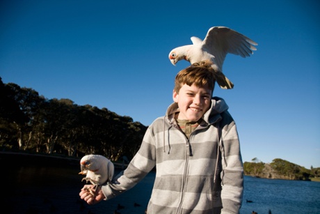 Centennial Park, Sydney