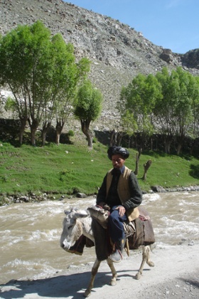 In Parwan, farmers rely on irrigation to cultivate otherwise arid land.